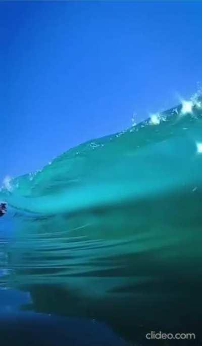 That'll be a no from me dog