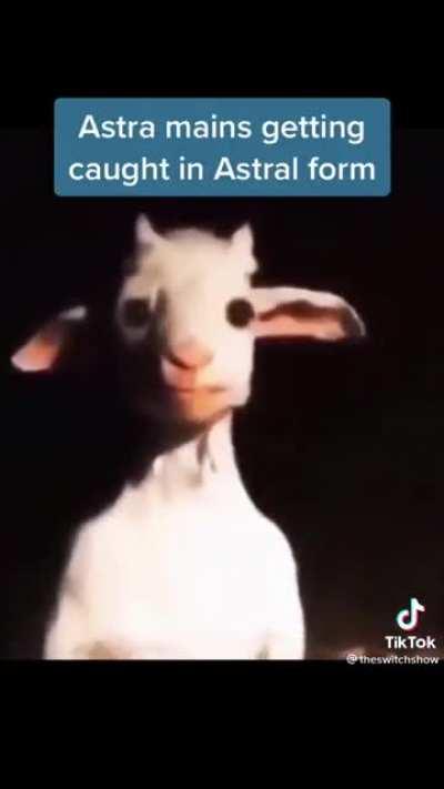 Found this gem on tiktok