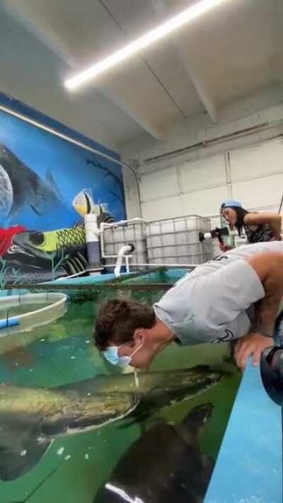 Knocked out by a fish.