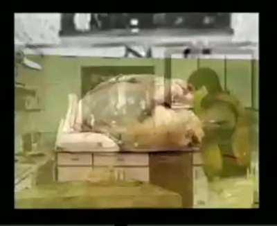 Cooking with scorpion is apparently a thing