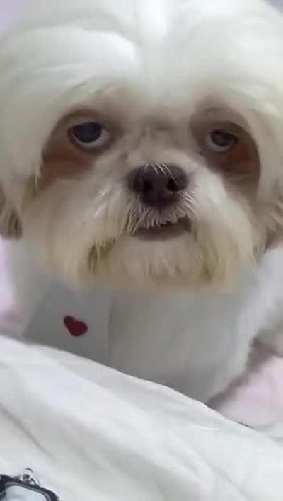 His reaction 😁😂