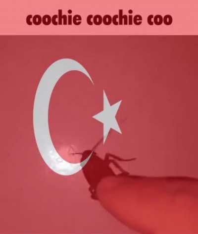 HELP! SOME ROBMANIAN (CIGAN) STOLE MY FLAIR! I DON'T WANT TO BE UNFLAIRED 😭