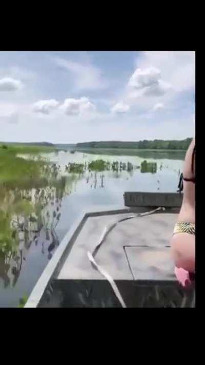 I wonder if this is Florida.