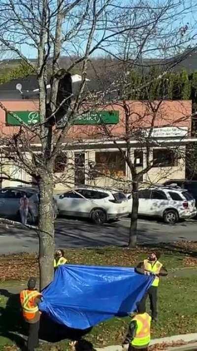 Scarred little buddy needed a helping hand (Grand Falls, New Brunswick, Canada)