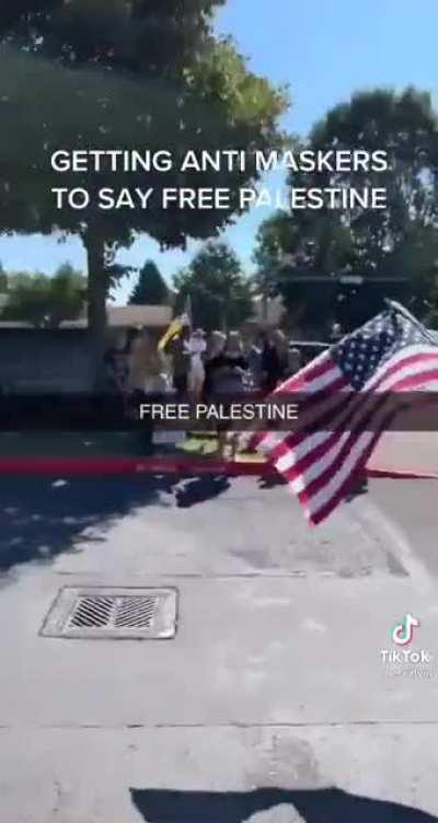 Best shit I’ve seen all day