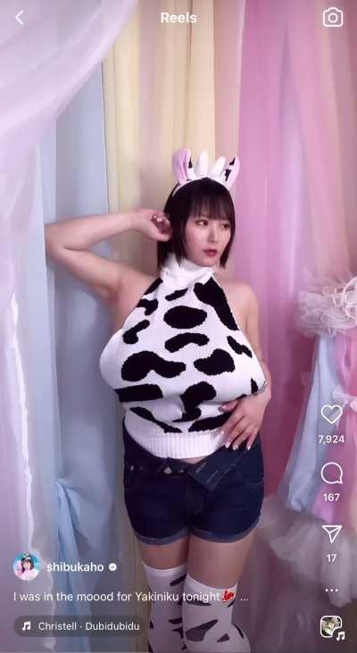 New Hucow IG Reel❗️🐮 What cup size do you think Kaho’s huge udders are now?