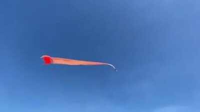 3 year old girl holding on for dear life