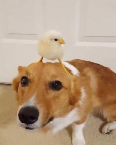 I'm stuck with this chick forever...