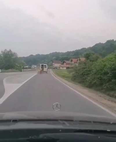 Greatest escape of all time