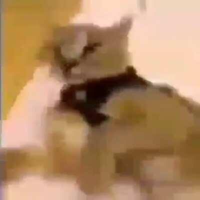 Kalkın artık.Okul vakti