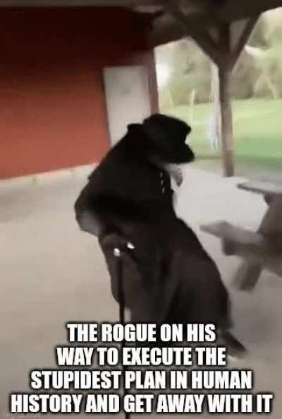 +14 stealth go brrrrrr