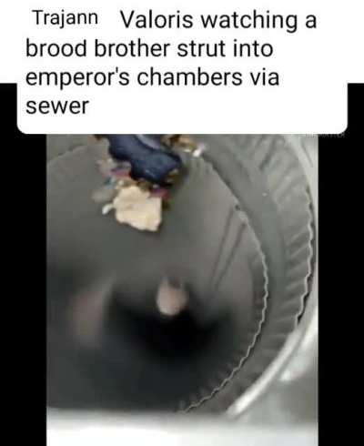 New box entertains me