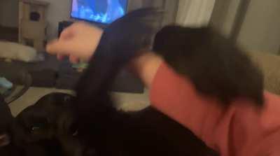 I’m not allowed to have my hand back, ever !