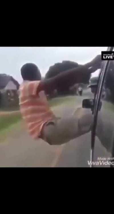 Wins stupid prize or idiot in car, you decide.