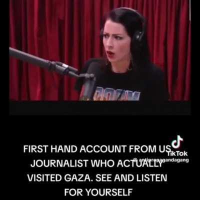 First hand account from US journalist who actually visited Gaza