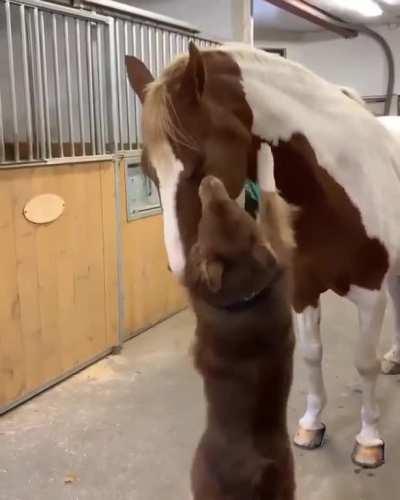 What is this? A crossover episode?