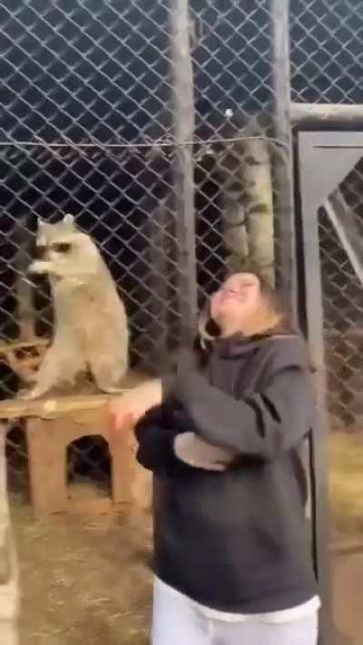 They do be Vibin’ tho