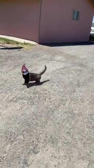 Así te vez, cada vez que regresas con tu ex.