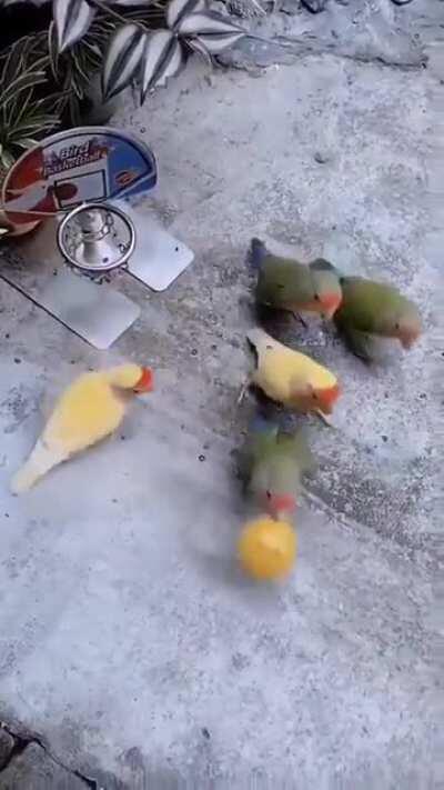 Drones just wanna have fun.