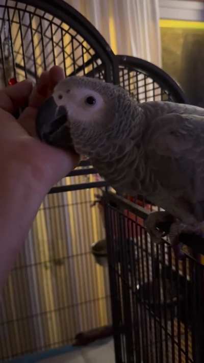 Early Morning Snuggles 🥰