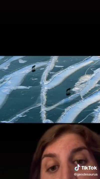 She said “Don’t go during Black Fly season” but she got cut off lol