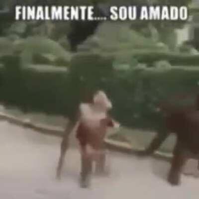 Finalmente 😍😍😍