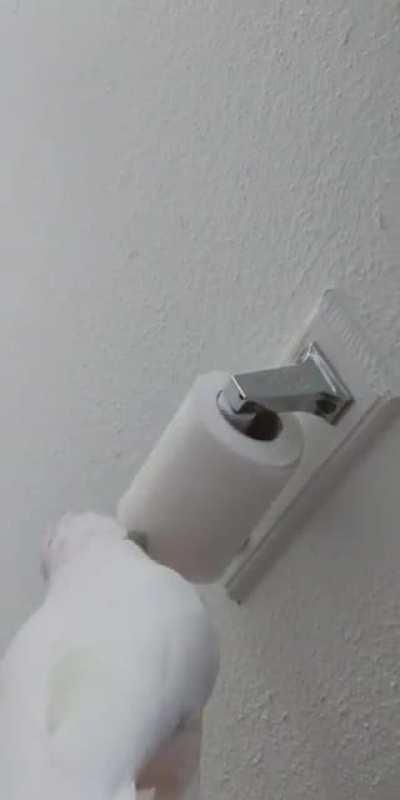 I'm honestly so grateful for her help.