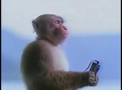 Return To Monke, Then Return To Donuts