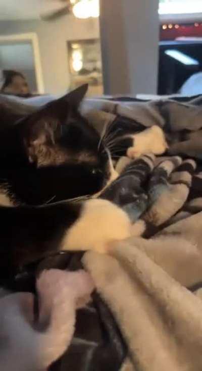 Learning to make biscuits from an expert