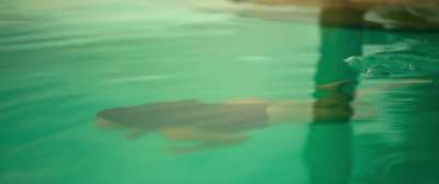 Giovanna Lancellotti