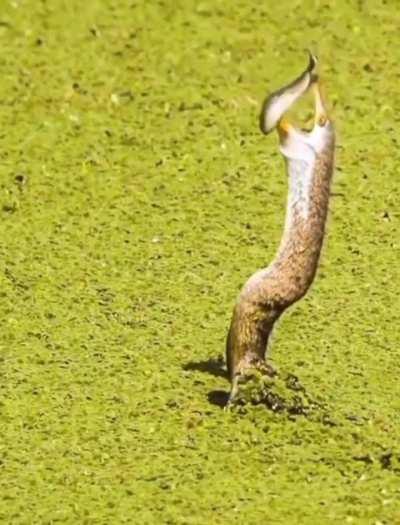 🔥 the chance is always there🔥