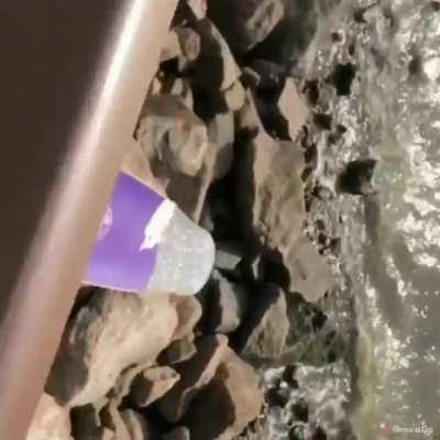 Trust me, it won't fall