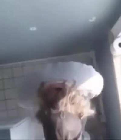 What the f*cking wall?