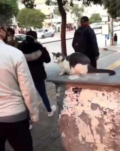 This Is My Corner Bitch!