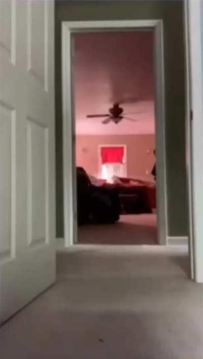 how'd that get in there