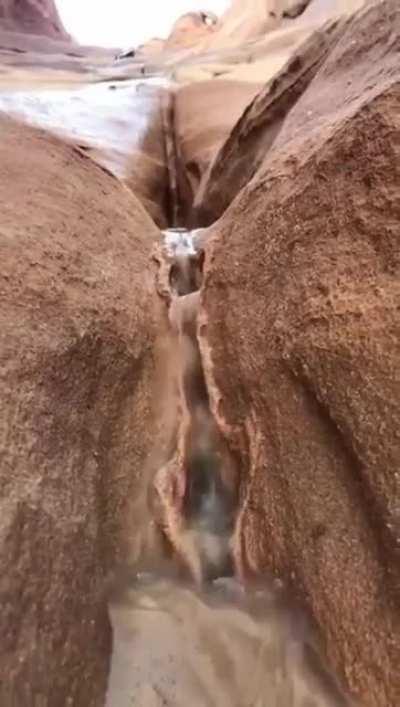 Nature giving me signs