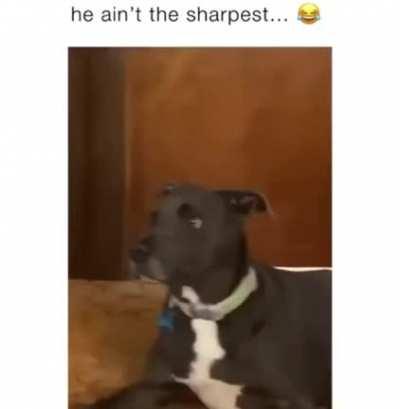 Who... Where... How?