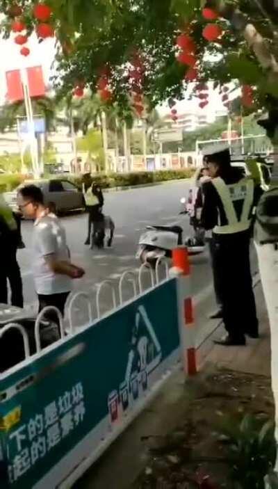 晶哥你摇了我吧！