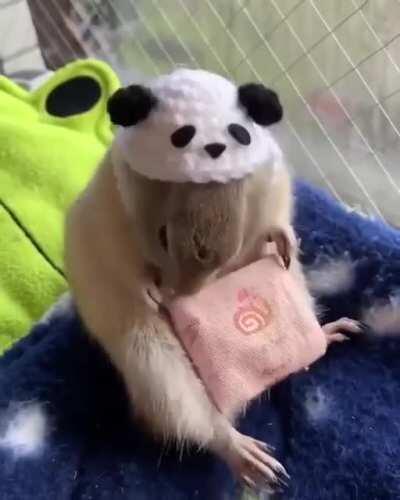 Lil’ grabbies eating lil’ carrots in a lil’ bag.