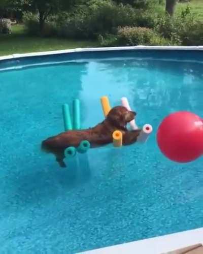 No thoughts. Only float..