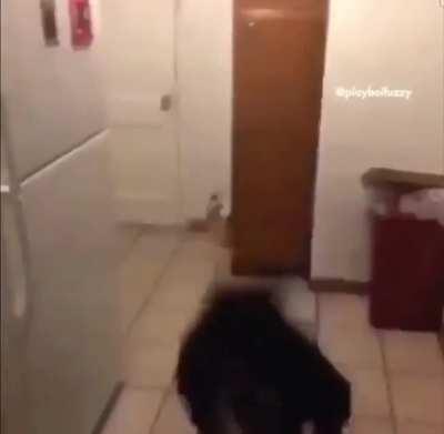 Can't forget the woo❗