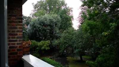 20 minutes of some much needed heatwave relieving rain and thunder from my window today.