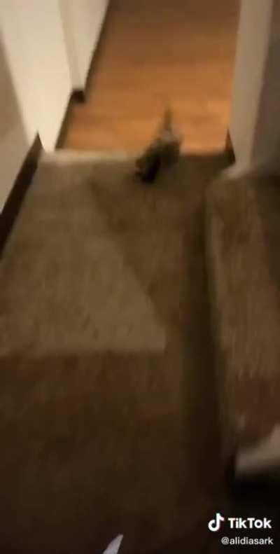 He&rsquo;s all &ldquo;hweheh heheheh&rdquo;