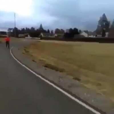 We live in a simulation