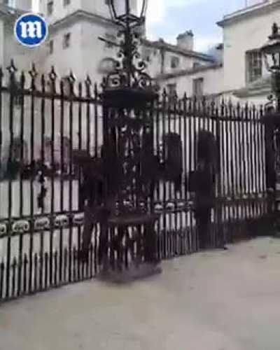 A woman persists in harassing the King's Guard's horse and soldiers, despite being repeatedly warned to desist.