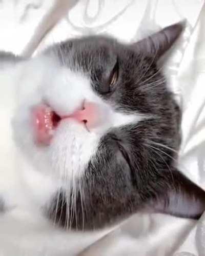 After hours 😹🌜