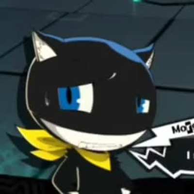 What did he just say?