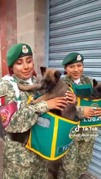 Una nueva generación