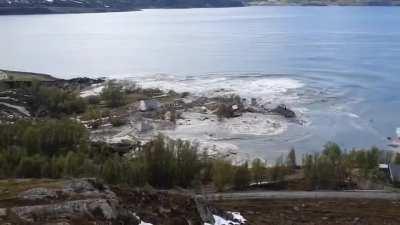 My underwater people need me