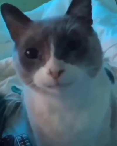 when the redditor I’ve been arguing with all day sends me my full name and exact location